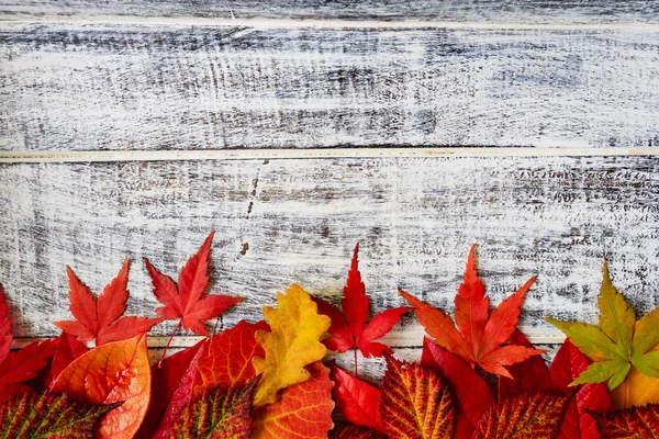 Fond d'automne - cadre à partir de feuilles colorées — Photo